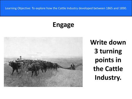 Write down 3 turning points in the Cattle Industry.