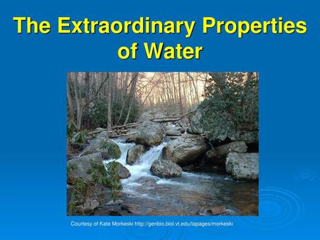 The Extraordinary Properties of Water