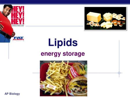 Lipids energy storage 2006-2007 1.