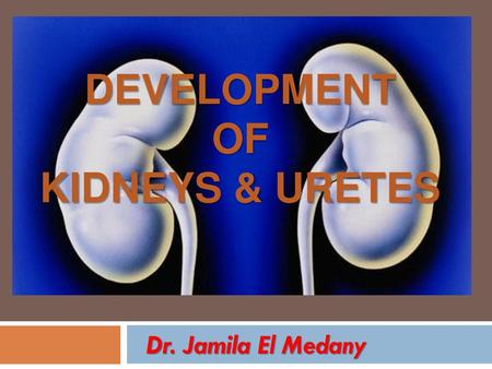 DEVELOPMENT OF KIDNEYS & URETES