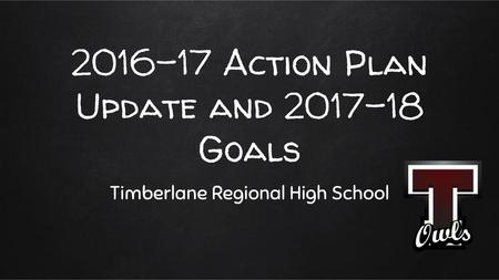 Action Plan Update and Goals