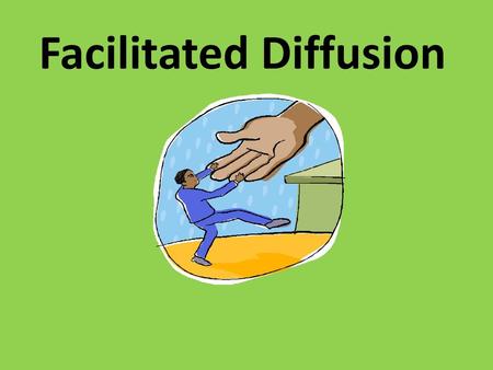 Facilitated Diffusion