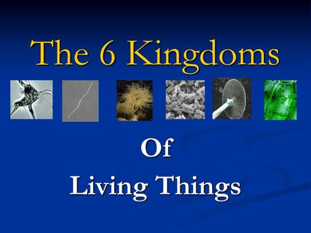 The 6 Kingdoms Of Living Things.