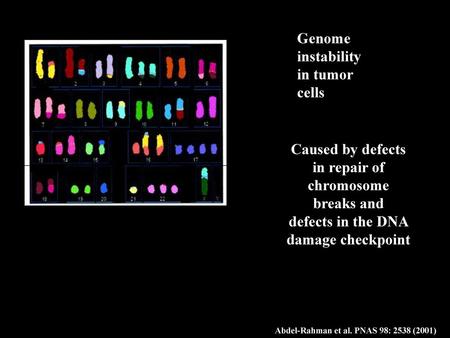 in repair of chromosome defects in the DNA damage checkpoint