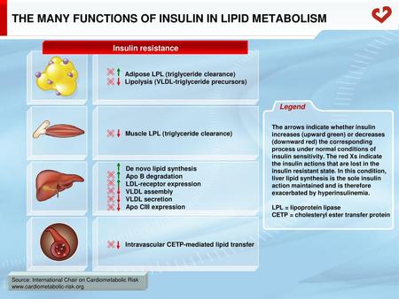 THE MANY FUNCTIONS OF INSULIN IN LIPID METABOLISM