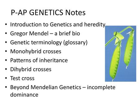 P-AP GENETICS Notes Introduction to Genetics and heredity