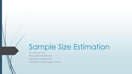 Sample Size Estimation