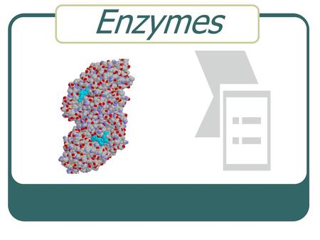 Enzymes.