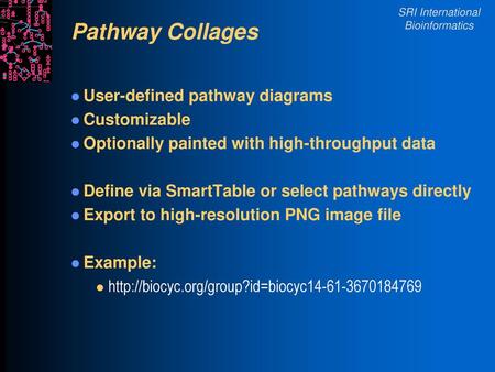 Pathway Collages User-defined pathway diagrams Customizable