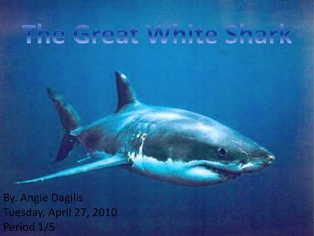 The Great White Shark By. Angie Dagilis Tuesday, April 27, 2010