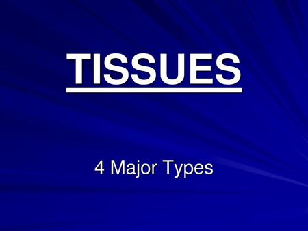 TISSUES 4 Major Types.