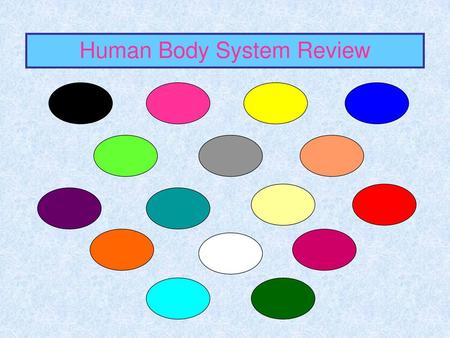 Human Body System Review