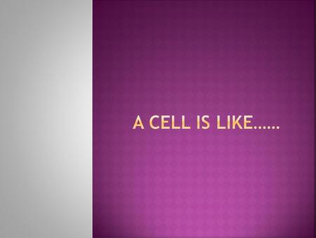 A Cell is like…….