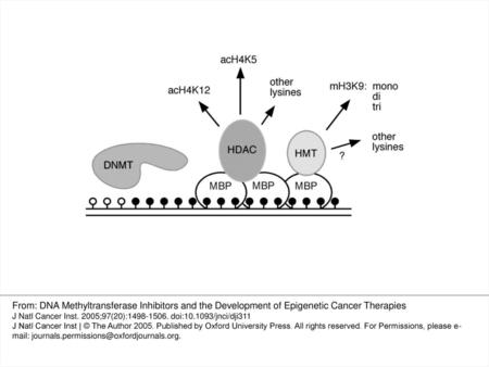 Fig. 1. Epigenetic regulation by DNA methyltransferases methyl-binding proteins and histone modifying enzymes. DNA is methylated by DNA methyltransferases.