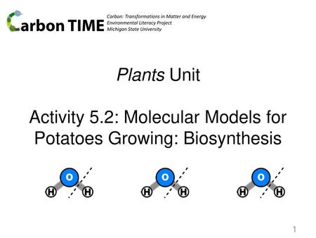 Carbon: Transformations in Matter and Energy