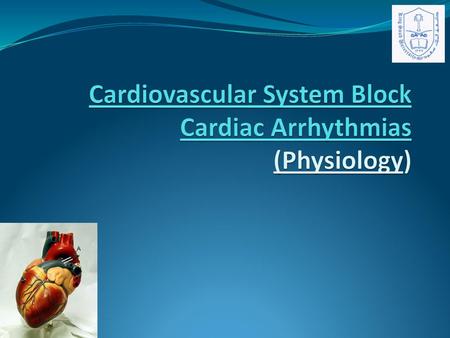 Cardiovascular System Block Cardiac Arrhythmias (Physiology)