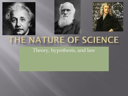 Theory, hypothesis, and law