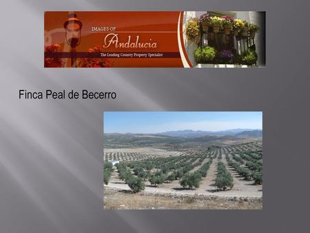 Finca Peal de Becerro.