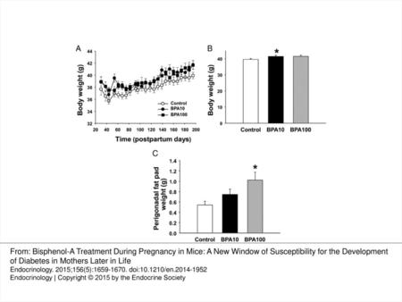 Figure 1 Body weight of control and BPA-treated mothers after delivery