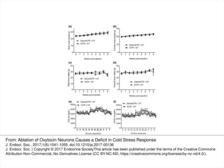 Figure 2. OXT neuron ablation did not have an effect on food intake and energy expenditure on a chow diet. Body weight and food intake of male (a, c),