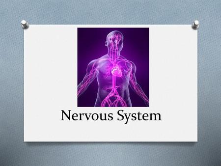 Nervous System.