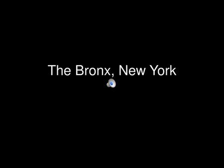 The Bronx, New York.