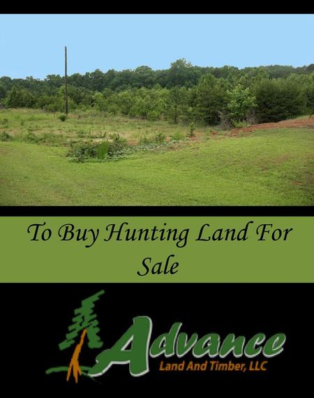 To Buy Hunting Land For Sale