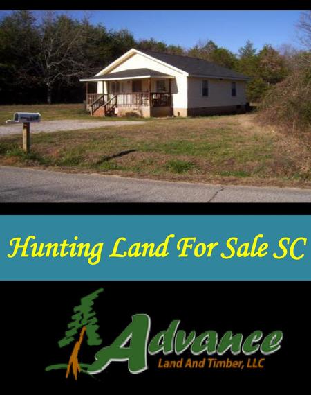 Hunting Land For Sale SC