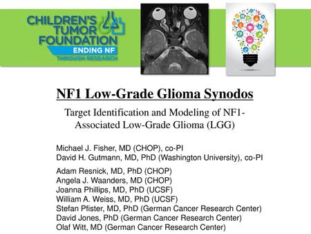 NF1 Low-Grade Glioma Synodos