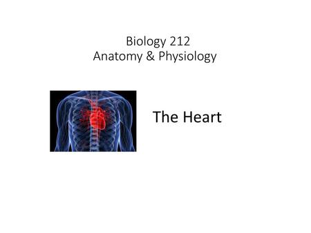 Biology 212 Anatomy & Physiology I