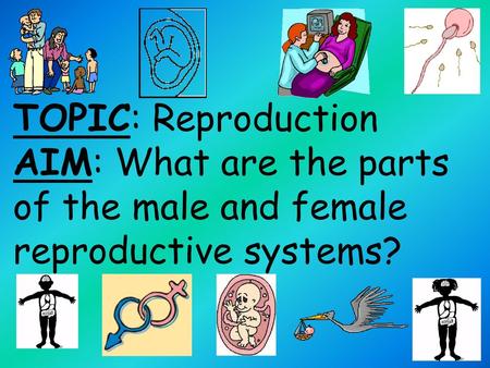 Reproduction Process through which living things produce new individuals of the same kind.