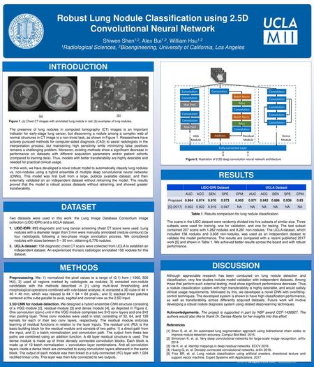 Robust Lung Nodule Classification using 2