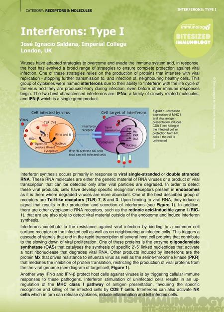 Interferons: Type I José Ignacio Saldana, Imperial College London, UK