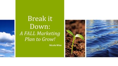 Break it Down: A FALL Marketing Plan to Grow!