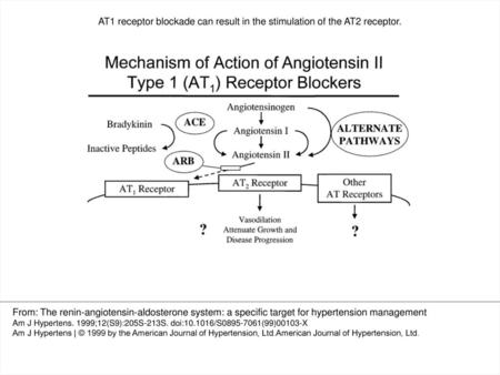 AT1 receptor blockade can result in the stimulation of the AT2 receptor. Figure 6. AT1 receptor blockade can result in the stimulation of the.