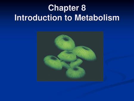 Chapter 8 Introduction to Metabolism