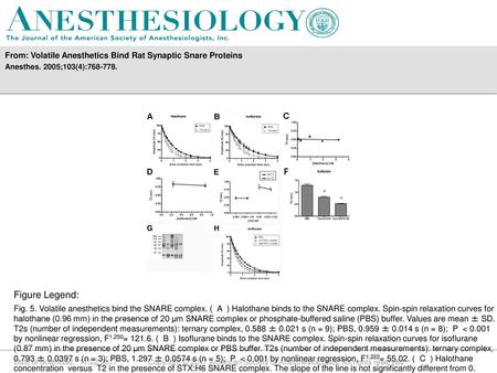 From: Volatile Anesthetics Bind Rat Synaptic Snare Proteins