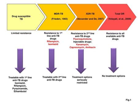 1 Drug susceptible TB Limited resistance MDR-TB (Frieden, 1993) XDR-TB