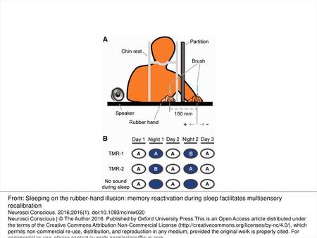 Figure 1 Experimental paradigm