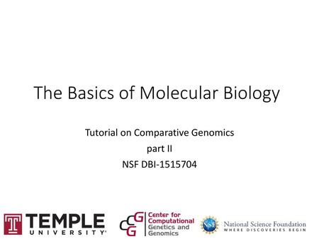 The Basics of Molecular Biology