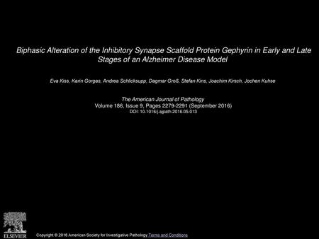 Biphasic Alteration of the Inhibitory Synapse Scaffold Protein Gephyrin in Early and Late Stages of an Alzheimer Disease Model  Eva Kiss, Karin Gorgas,