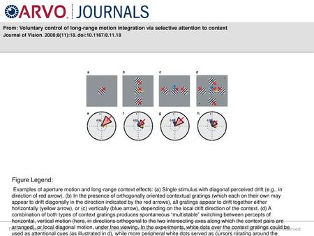 Journal of Vision. 2008;8(11):18. doi: / Figure Legend: