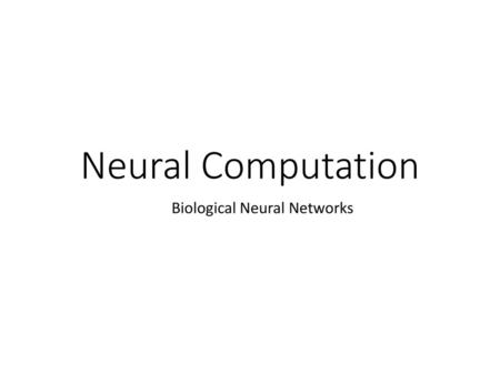 Biological Neural Networks