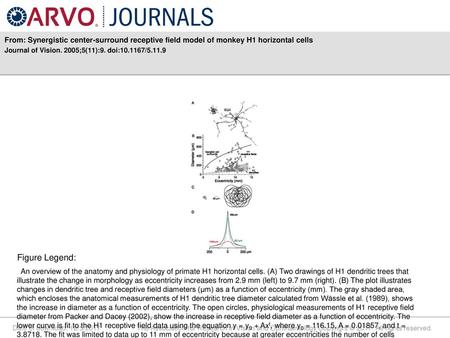 Journal of Vision. 2005;5(11):9. doi: /5.11.9 Figure Legend: