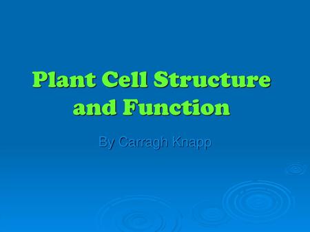 Plant Cell Structure and Function