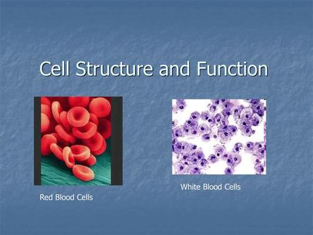 Cell Structure and Function