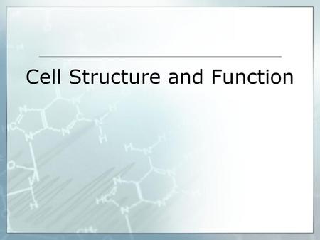 Cell Structure and Function