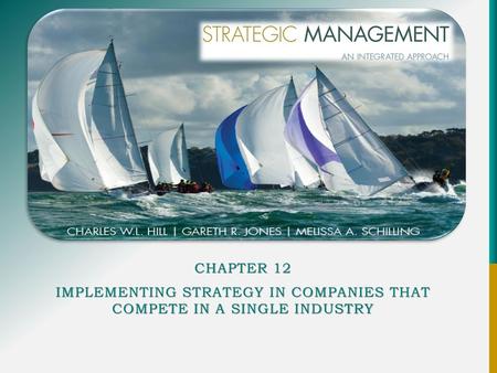 Implementing Strategy in Companies That Compete in a Single Industry