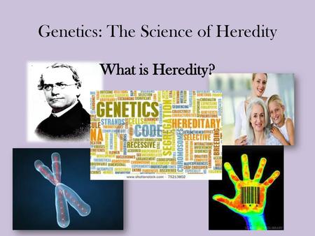 Genetics: The Science of Heredity