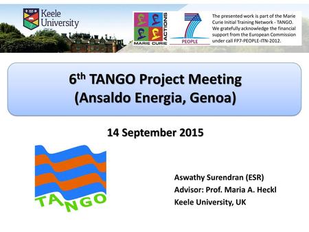 6th TANGO Project Meeting (Ansaldo Energia, Genoa) 14 September 2015